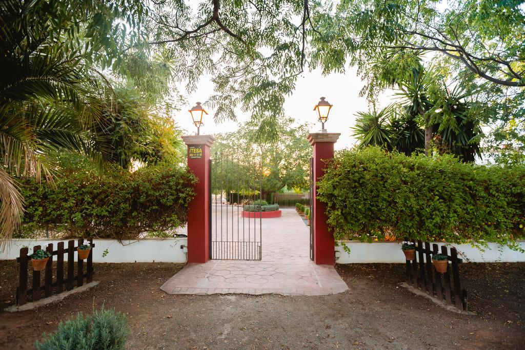 Cortijo Carrillo Bed & Breakfast Cartaojal Bagian luar foto